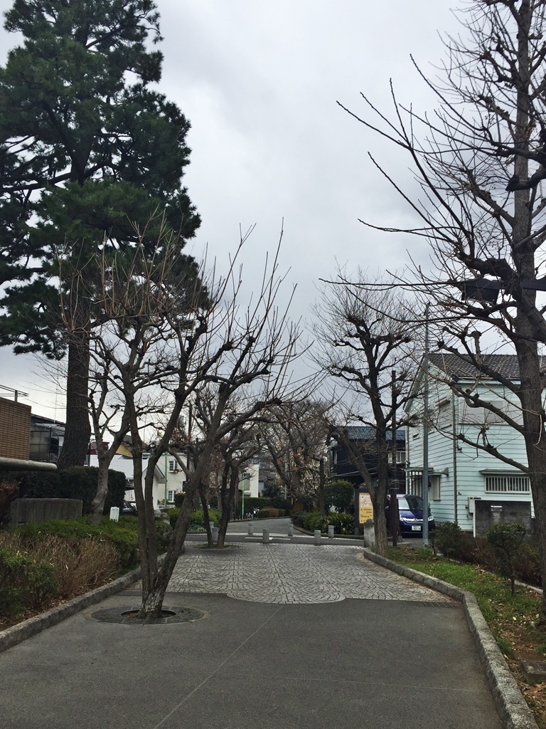f:id:miwa3k:20170213200519j:plain