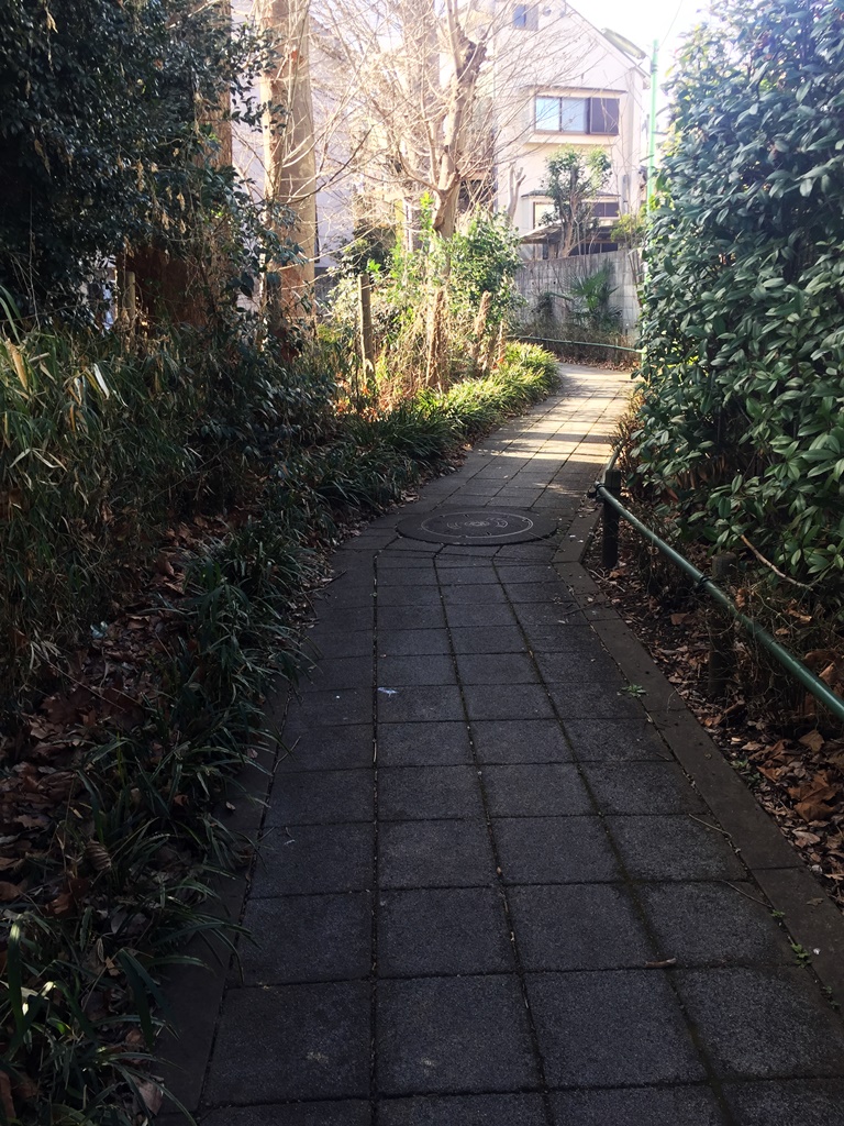 f:id:miwa3k:20170213200536j:plain