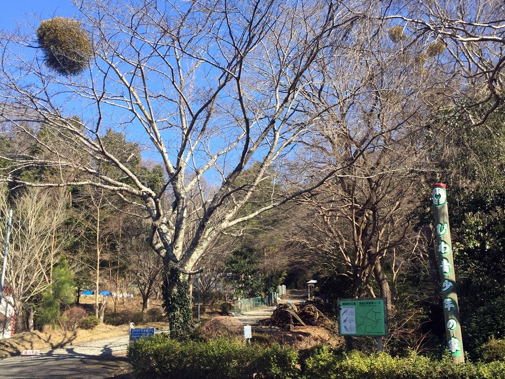 f:id:miwa3k:20170218170943j:plain