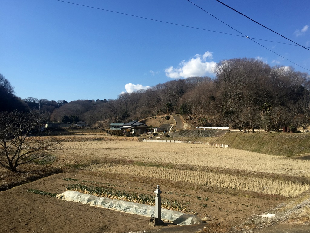 f:id:miwa3k:20170218170945j:plain
