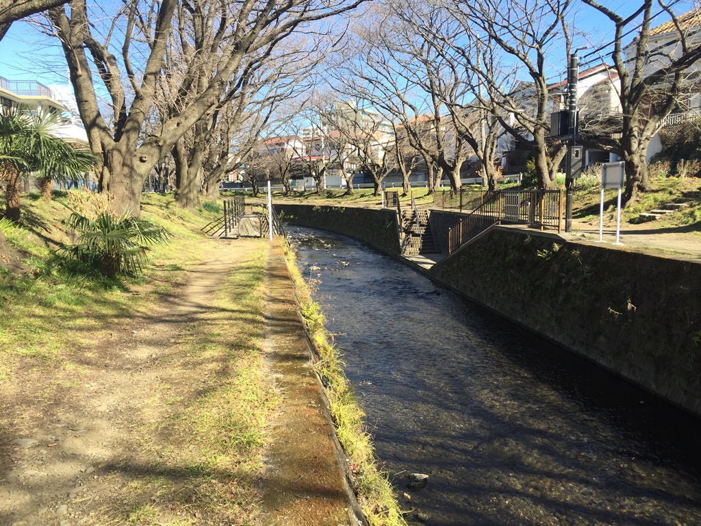 f:id:miwa3k:20170221211313j:plain f:id:miwa3k:20170221211313j:plain