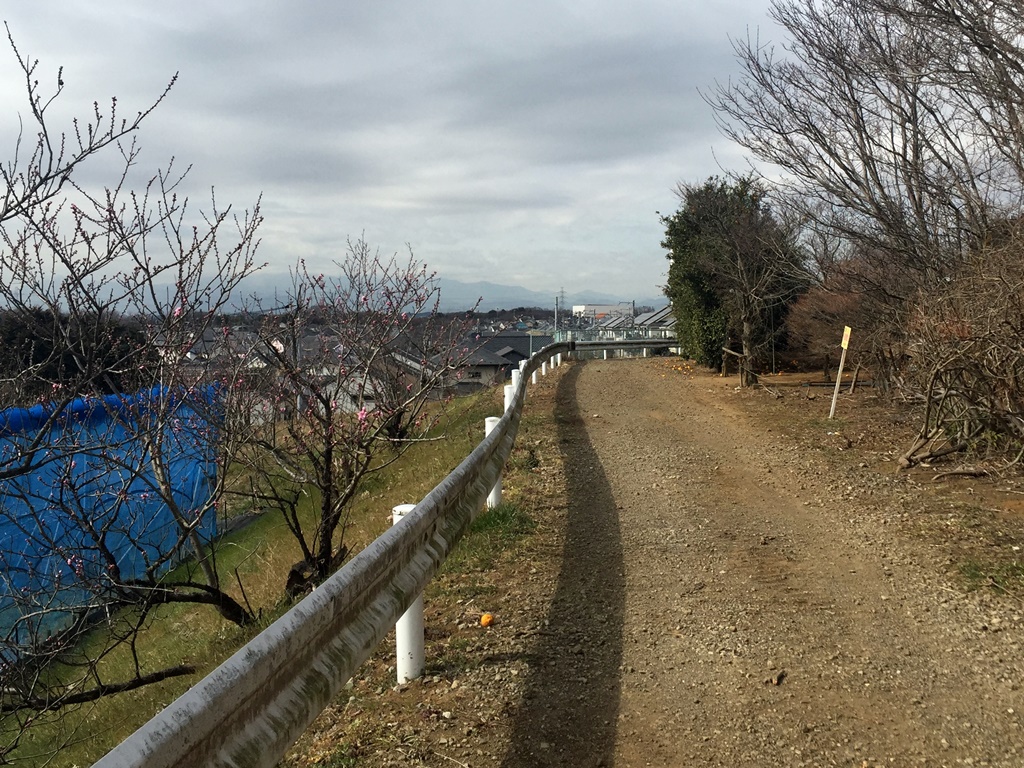f:id:miwa3k:20170305111319j:plain