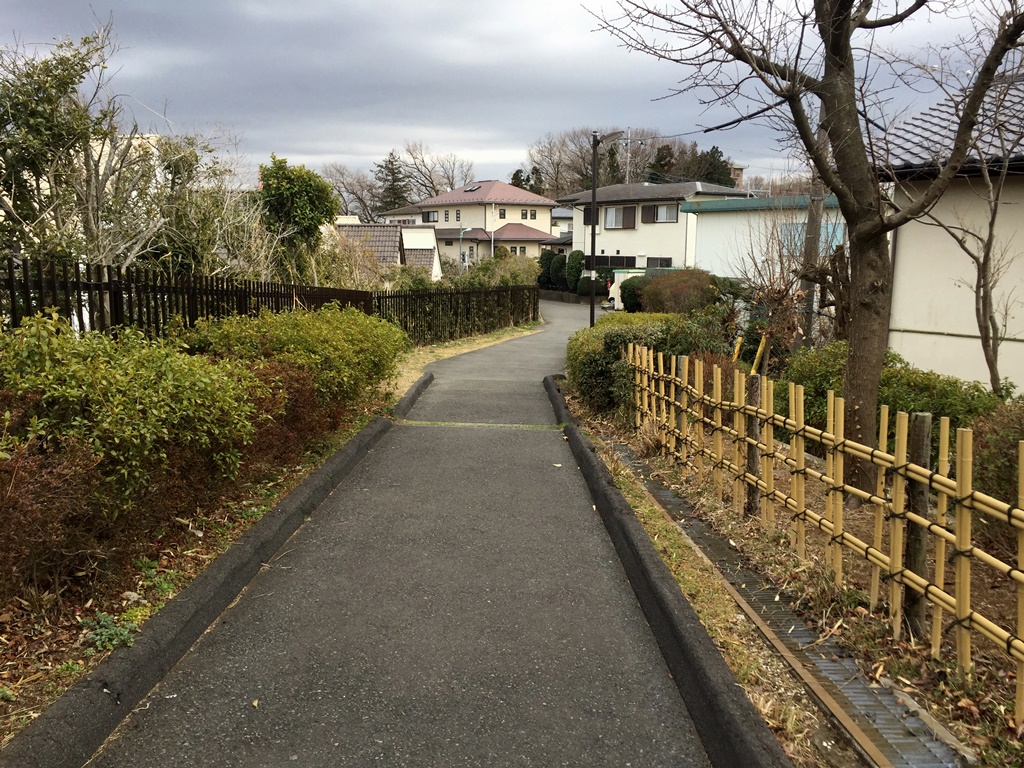f:id:miwa3k:20170305111348j:plain
