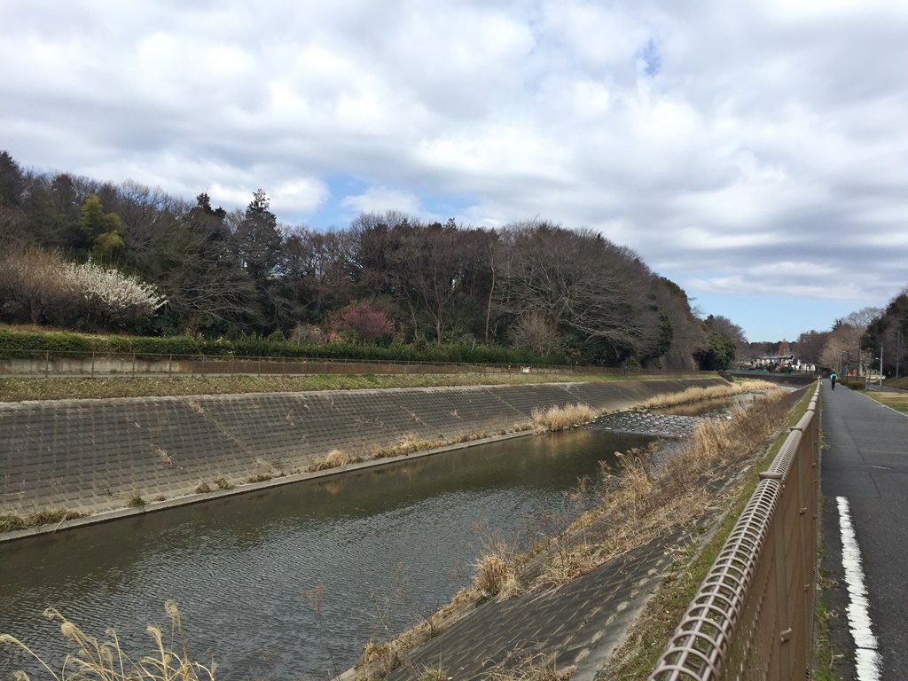 f:id:miwa3k:20170308195430j:plain f:id:miwa3k:20170308195430j:plain