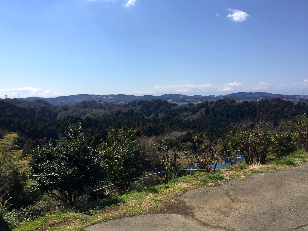 f:id:miwa3k:20170321203335j:plain