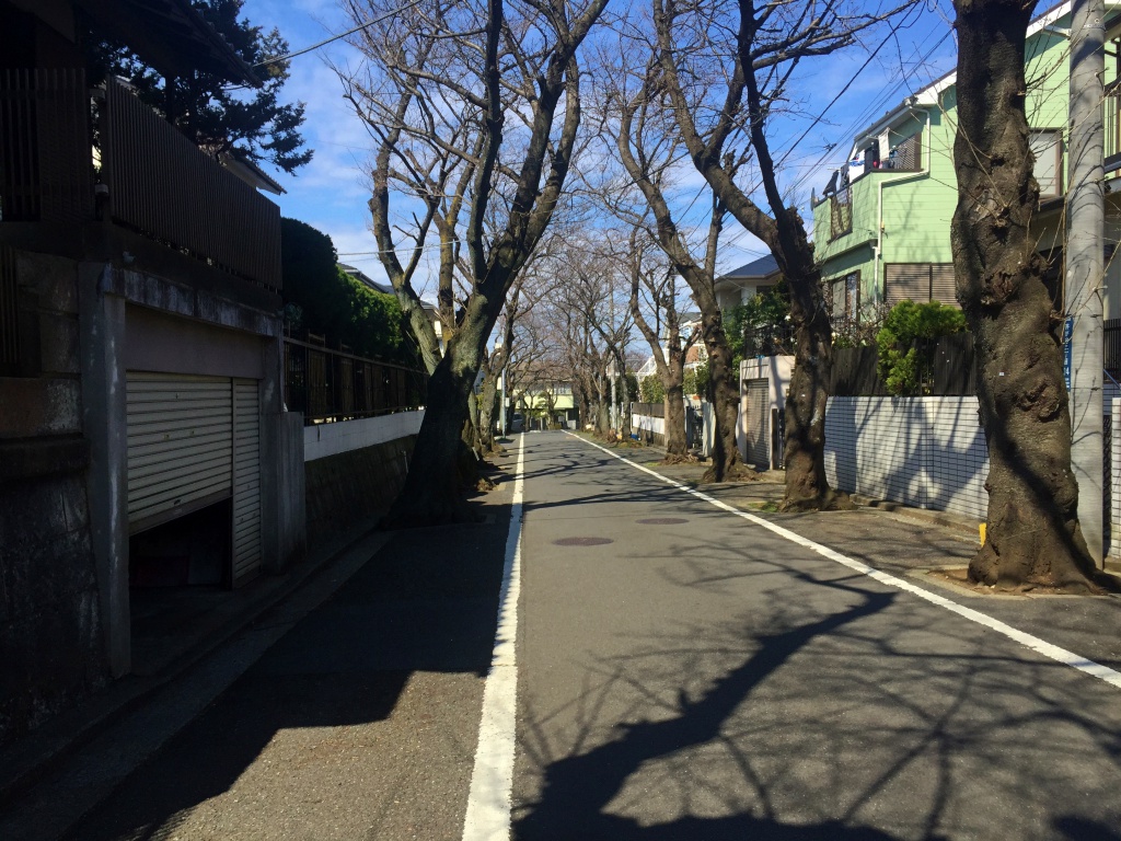f:id:miwa3k:20170324181839j:plain f:id:miwa3k:20170324181839j:plain
