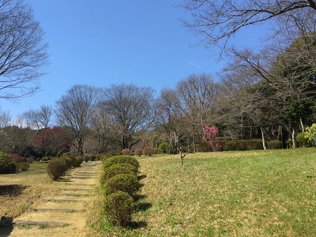 f:id:miwa3k:20170327200302j:plain