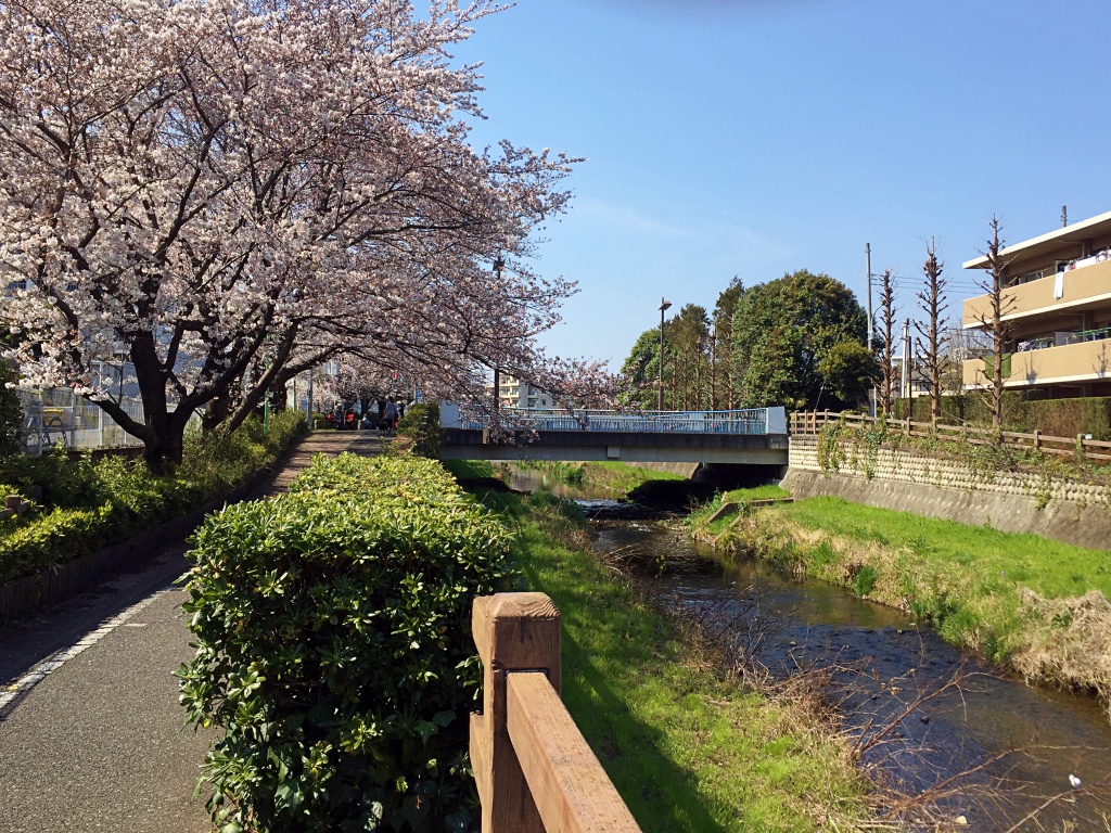 f:id:miwa3k:20170408171633j:plain