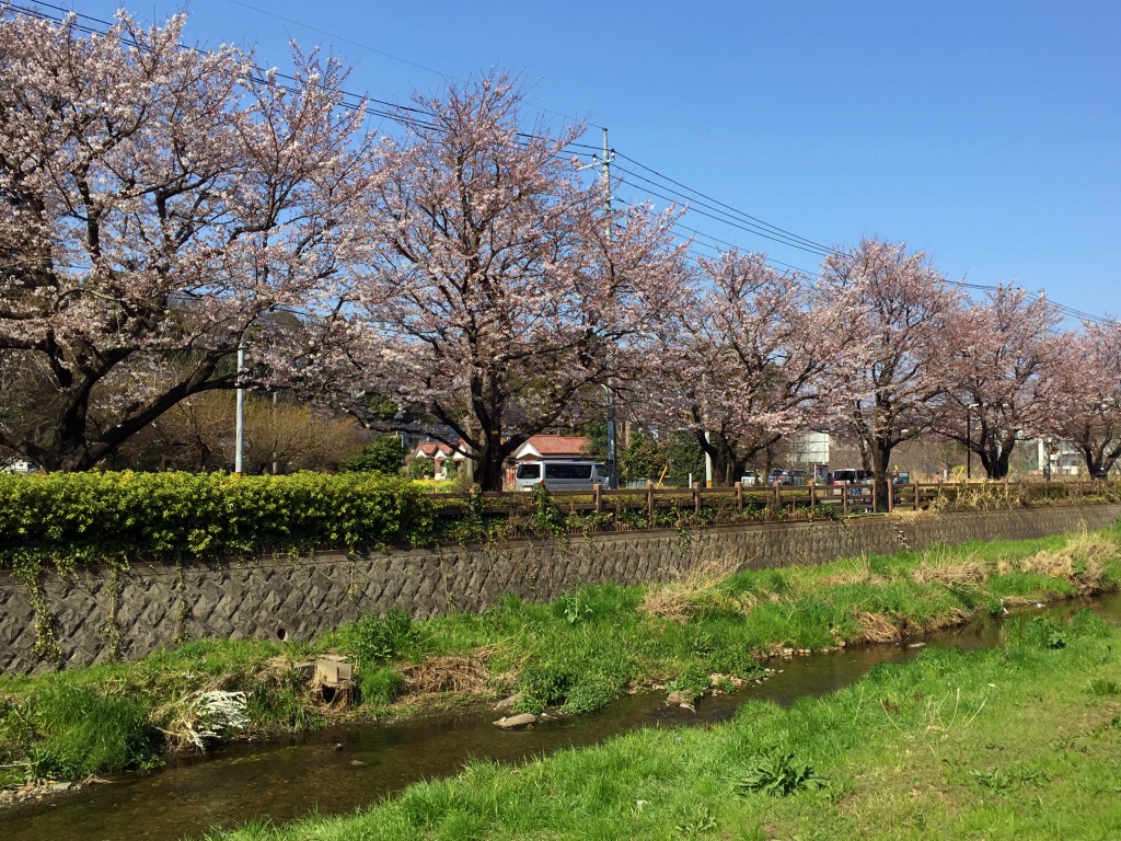 f:id:miwa3k:20170408171635j:plain
