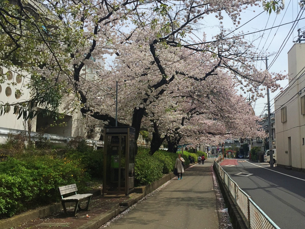 f:id:miwa3k:20170418224953j:plain