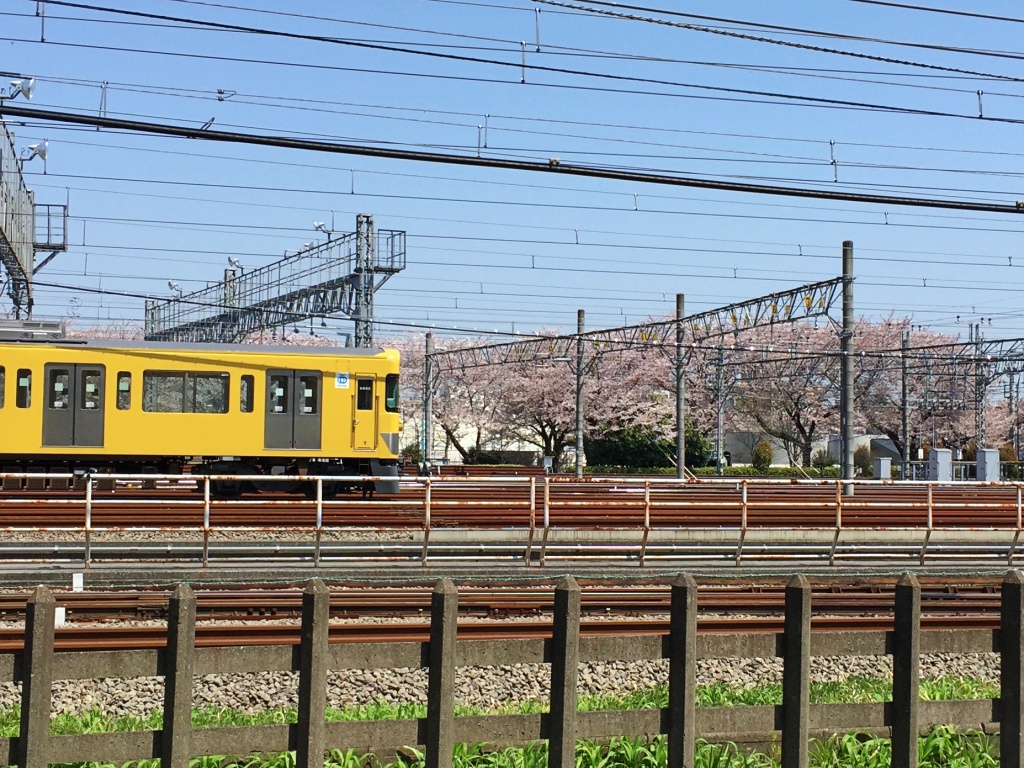 f:id:miwa3k:20170426194614j:plain