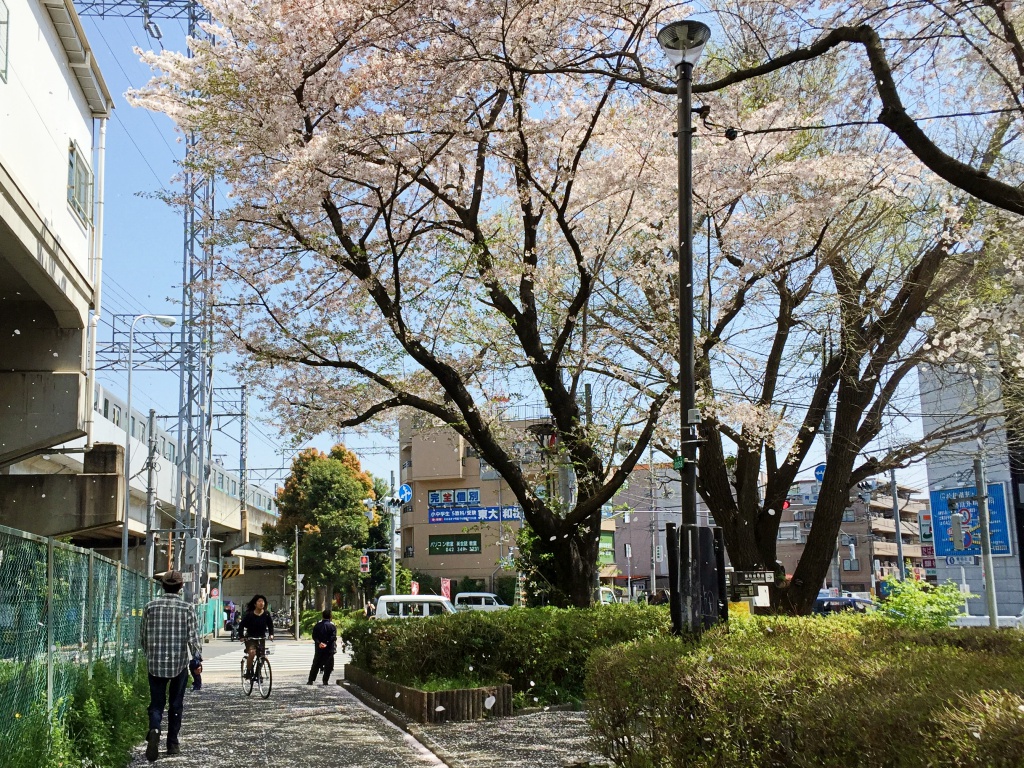 f:id:miwa3k:20170426194616j:plain