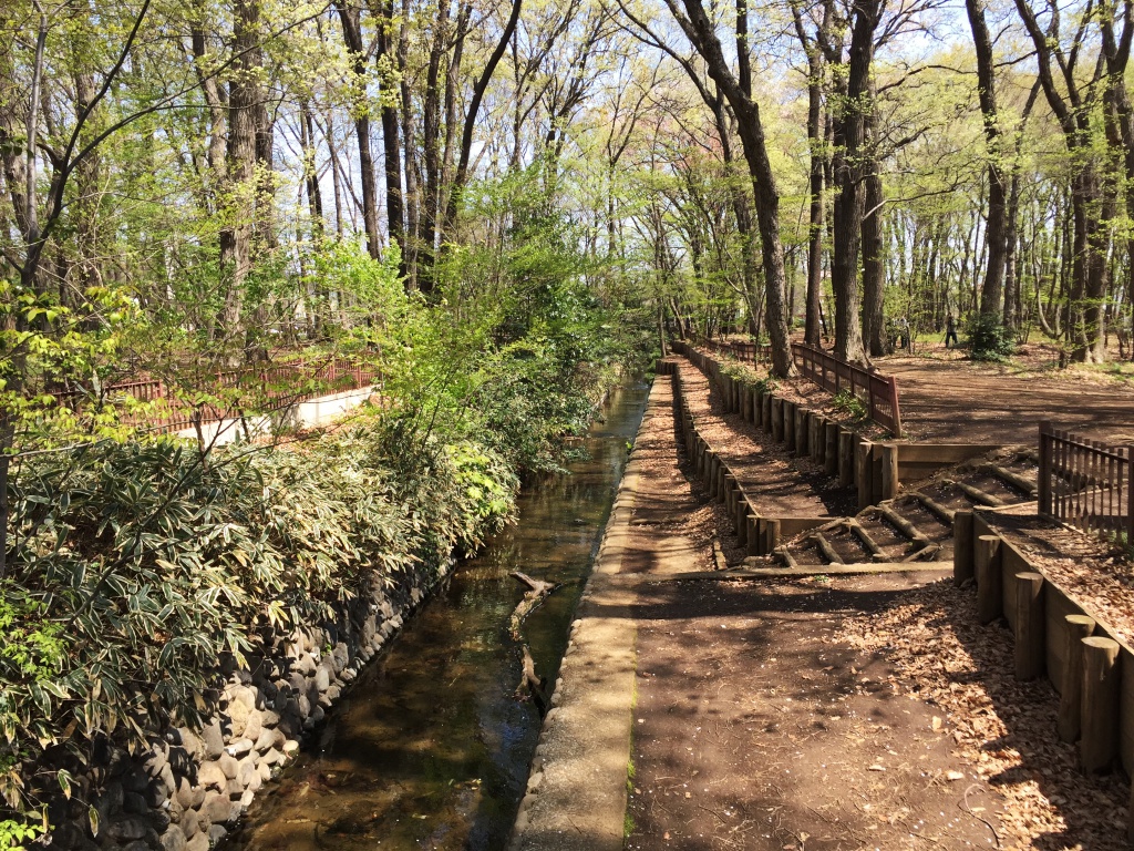 埼玉県新座市の呼びかけにより 野火止用水サミット 開催 9市の市長参加 流域連携事業を話し合う 2011年2月17日 エキサイトニュース