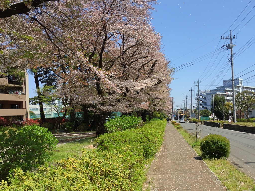 f:id:miwa3k:20170426194620j:plain