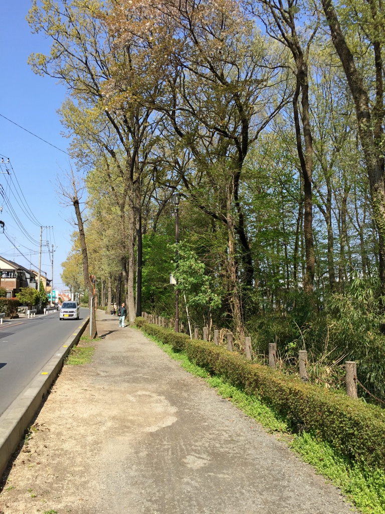 f:id:miwa3k:20170427202240j:plain f:id:miwa3k:20170427202240j:plain