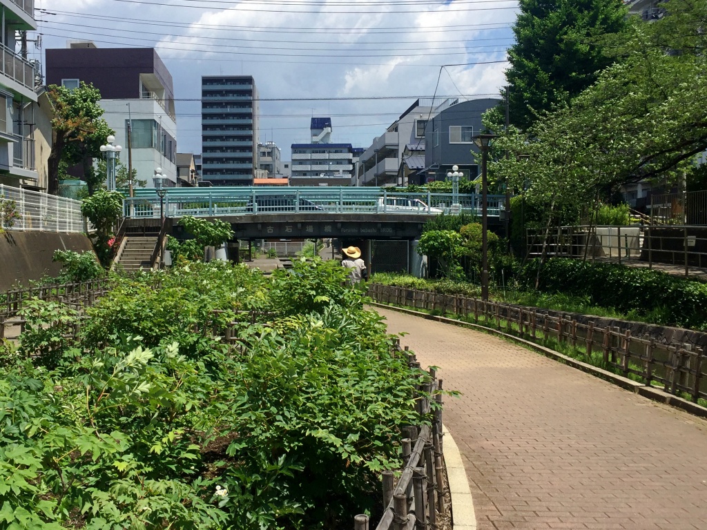 f:id:miwa3k:20170607221605j:plain f:id:miwa3k:20170607221605j:plain