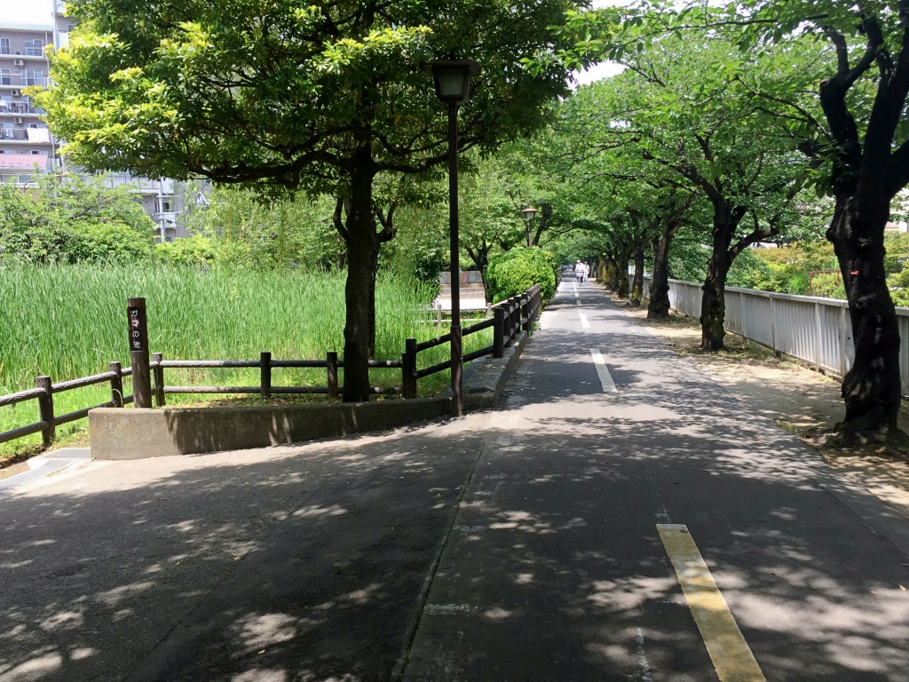f:id:miwa3k:20170607221620j:plain f:id:miwa3k:20170607221620j:plain