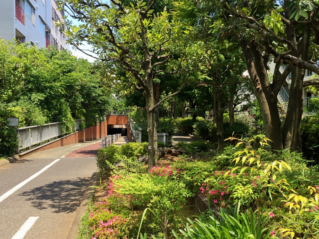 f:id:miwa3k:20170610124348j:plain