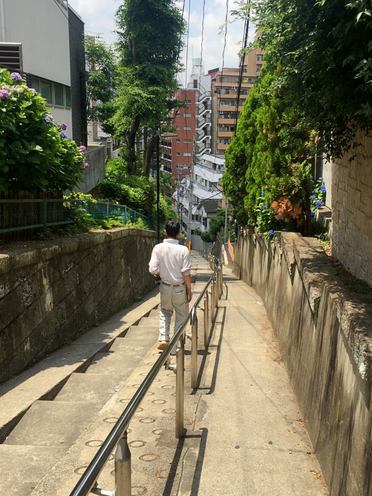 f:id:miwa3k:20170617190028j:plain