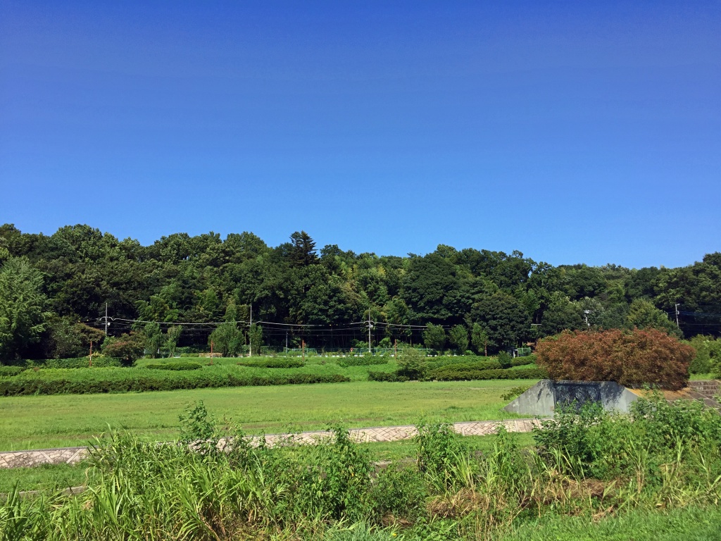 f:id:miwa3k:20170624143111j:plain