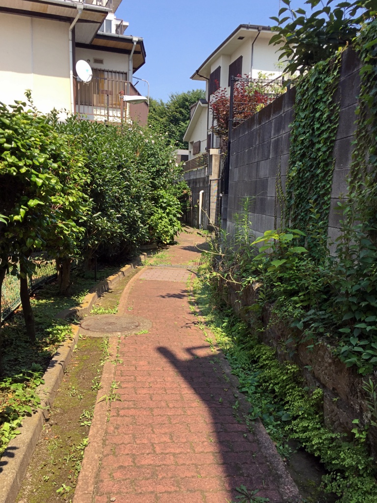 f:id:miwa3k:20170713213840j:plain