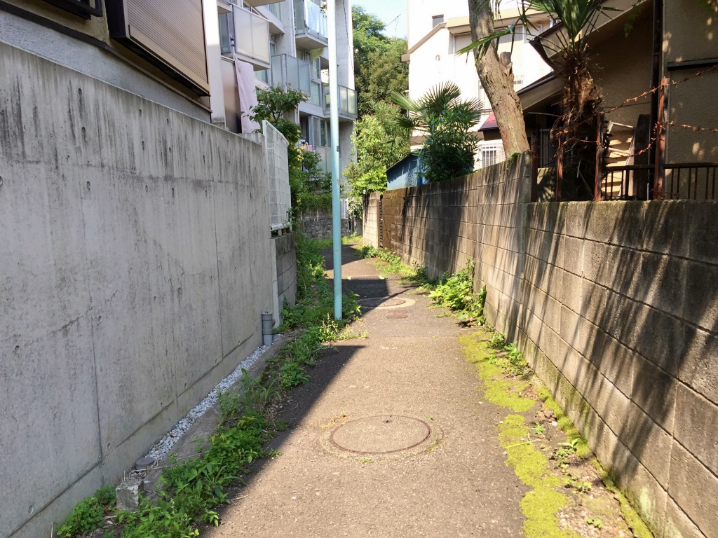 f:id:miwa3k:20170713213842j:plain