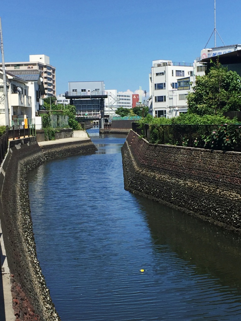 f:id:miwa3k:20170722173220j:plain