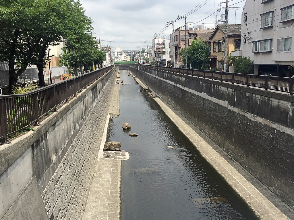 昭和44年 地図[東京都目黒区住居表示案内図]暗渠前呑川.蛇崩