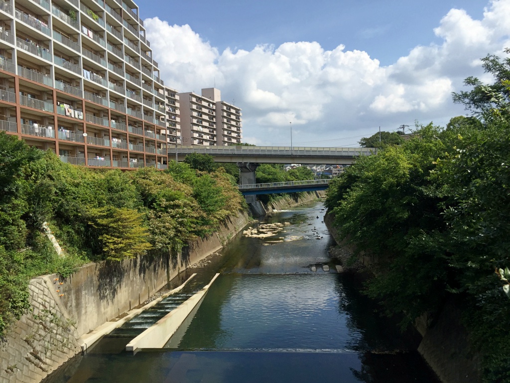 f:id:miwa3k:20170916170312j:plain f:id:miwa3k:20170916170312j:plain