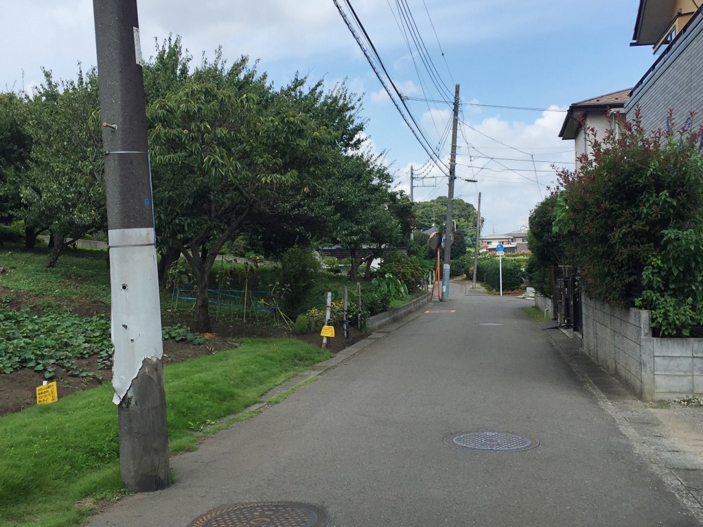 f:id:miwa3k:20170916170313j:plain f:id:miwa3k:20170916170313j:plain