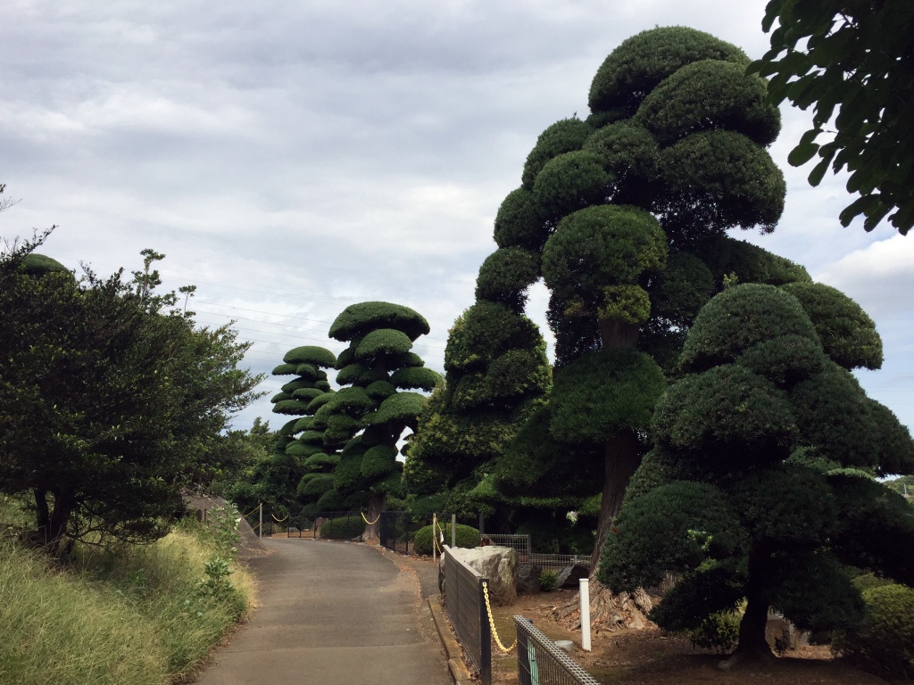 f:id:miwa3k:20170916170326j:plain f:id:miwa3k:20170916170326j:plain