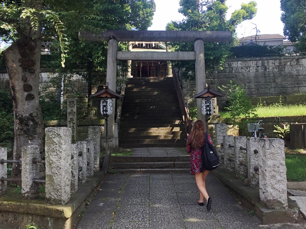 f:id:miwa3k:20170920173545j:plain