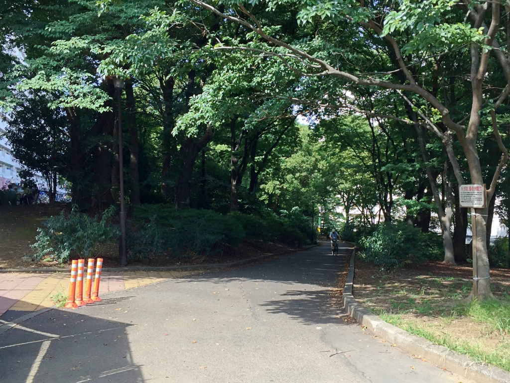 f:id:miwa3k:20170920173547j:plain