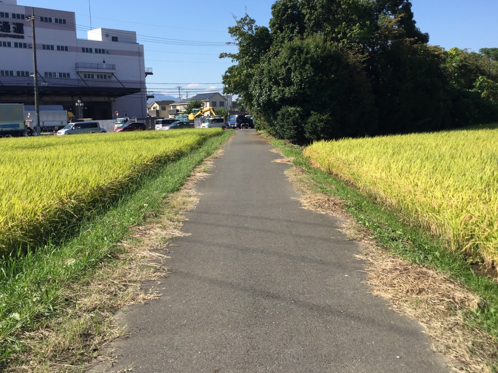 f:id:miwa3k:20171011183509j:plain