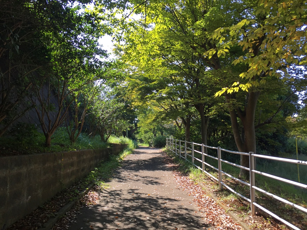 f:id:miwa3k:20171020180115j:plain
