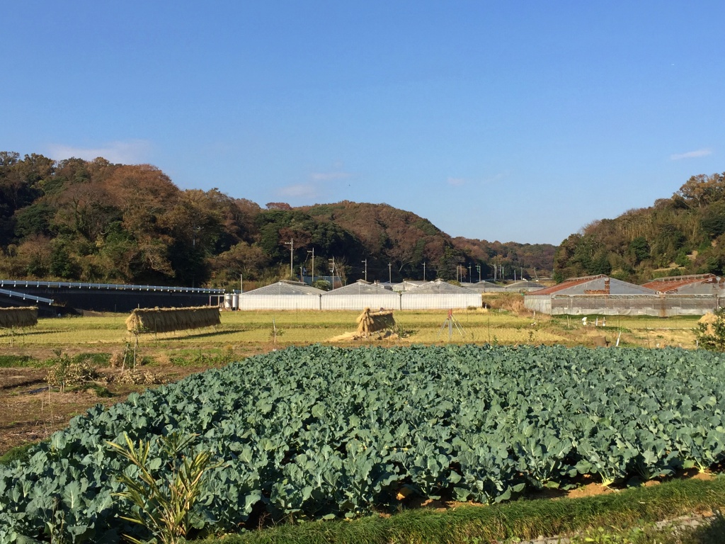 f:id:miwa3k:20171121210719j:plain