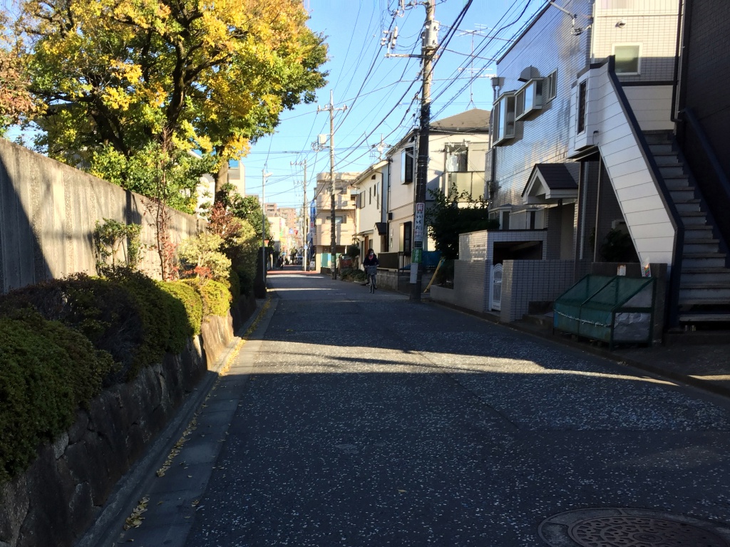f:id:miwa3k:20171127192012j:plain