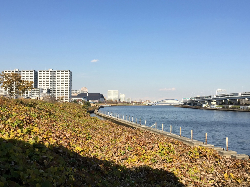 f:id:miwa3k:20171214091850j:plain