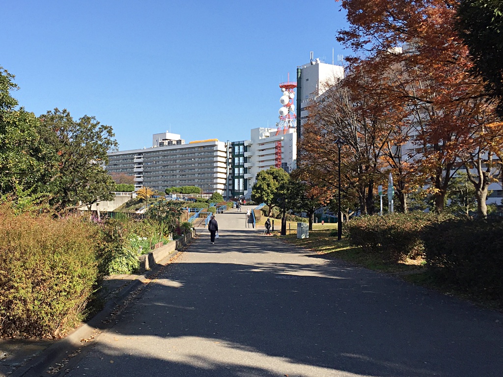 f:id:miwa3k:20171219205315j:plain f:id:miwa3k:20171219205315j:plain