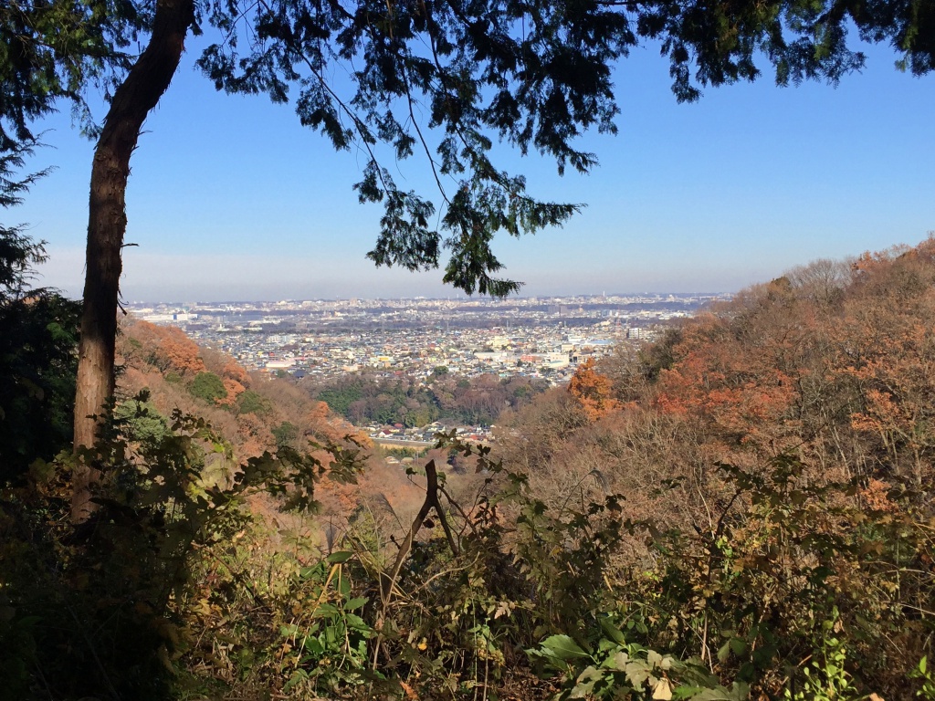 f:id:miwa3k:20171229201805j:plain