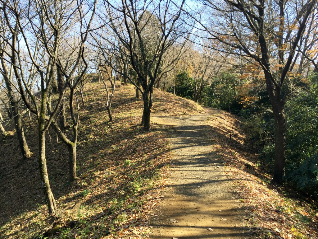 f:id:miwa3k:20171229201806j:plain