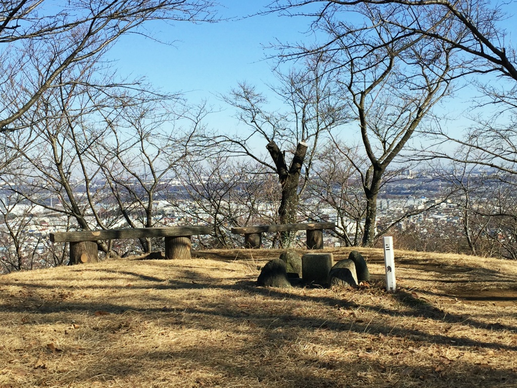 f:id:miwa3k:20171229201808j:plain