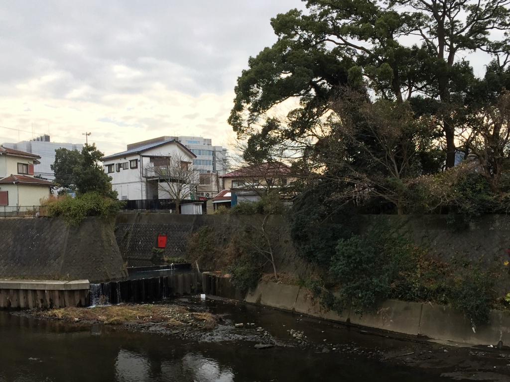 f:id:miwa3k:20180104185232j:plain