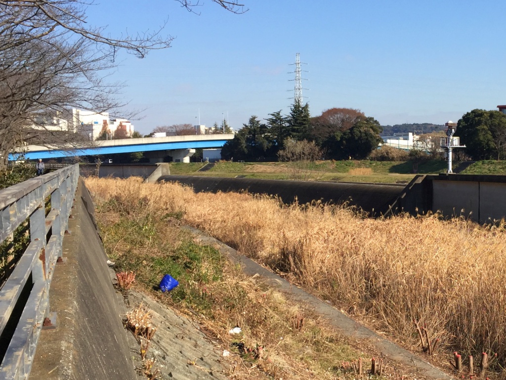 f:id:miwa3k:20180104185242j:plain