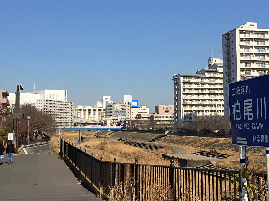 f:id:miwa3k:20180104185245j:plain
