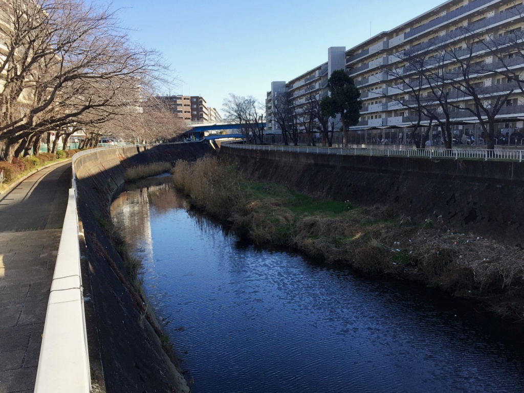 f:id:miwa3k:20180114173309j:plain