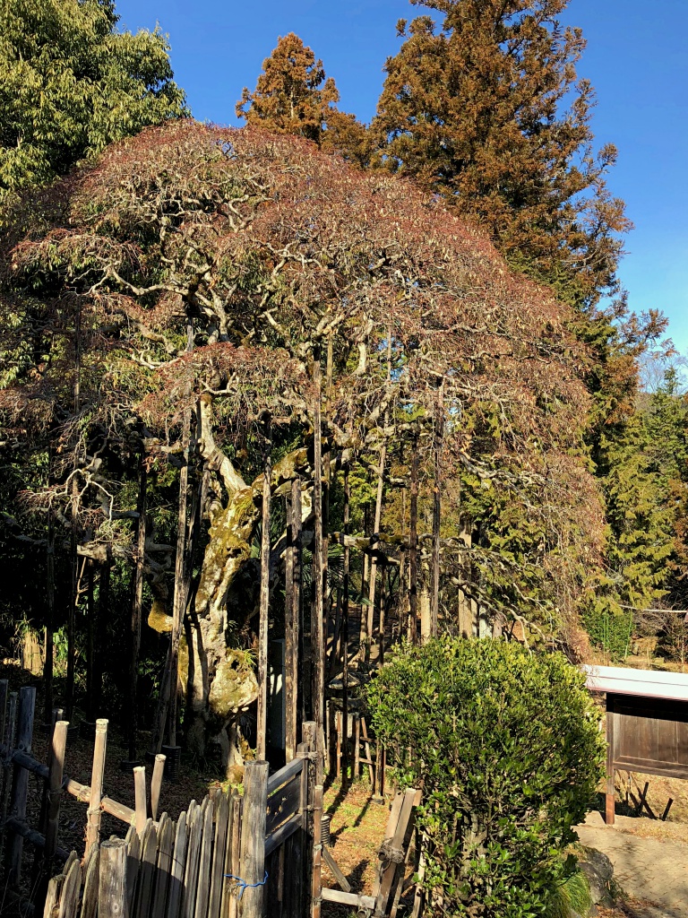 f:id:miwa3k:20180123130015j:plain