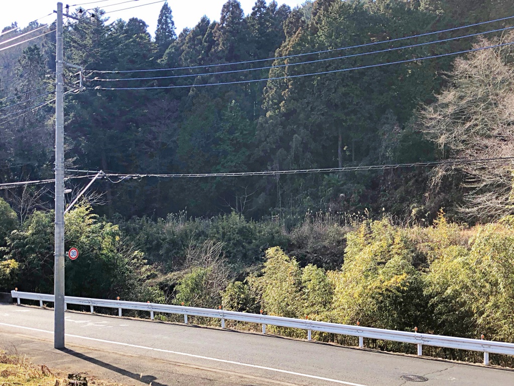f:id:miwa3k:20180123130017j:plain