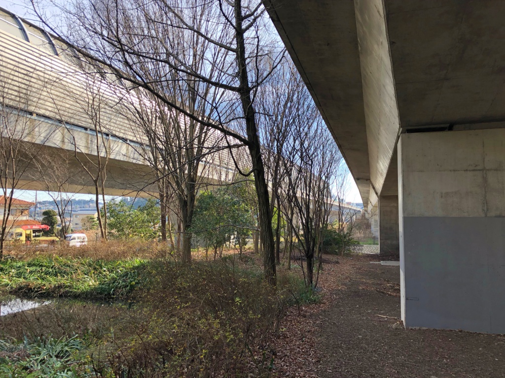 f:id:miwa3k:20180123130030j:plain