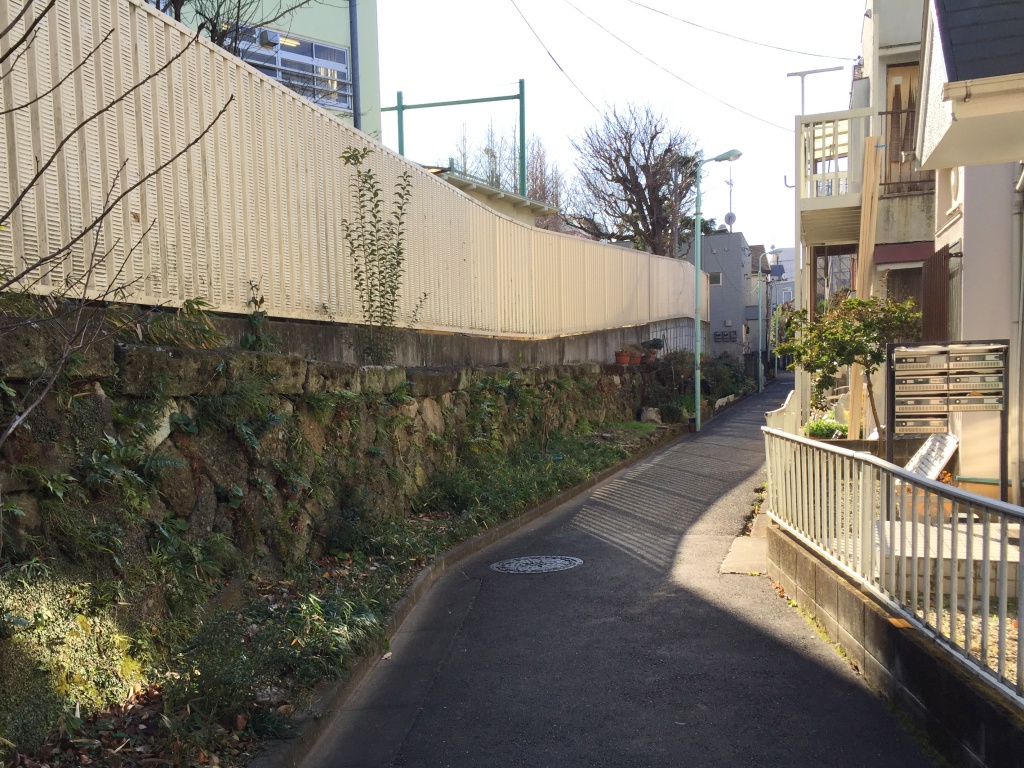 f:id:miwa3k:20180126175046j:plain